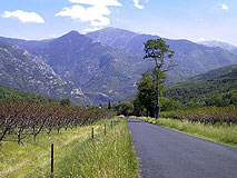 le Canigou